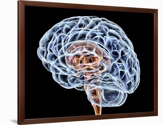 Brain, Artwork-PASIEKA-Framed Photographic Print