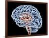 Brain, Artwork-PASIEKA-Framed Photographic Print