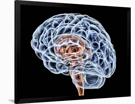 Brain, Artwork-PASIEKA-Framed Photographic Print