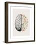 Brain Bloom-Beth Cai-Framed Giclee Print