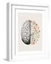 Brain Bloom-Beth Cai-Framed Giclee Print