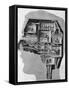 Brain, Business Centre-null-Framed Stretched Canvas