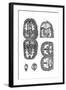 Brain Cavities 18th C.-null-Framed Giclee Print