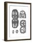 Brain Cavities 18th C.-null-Framed Giclee Print