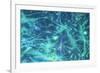 Brain Cells-Dr. Neal Scolding-Framed Photographic Print