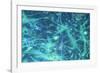 Brain Cells-Dr. Neal Scolding-Framed Photographic Print