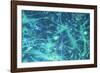 Brain Cells-Dr. Neal Scolding-Framed Photographic Print