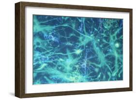 Brain Cells-Dr. Neal Scolding-Framed Photographic Print