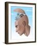 Brain Cogs-Spencer Sutton-Framed Giclee Print