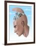 Brain Cogs-Spencer Sutton-Framed Giclee Print