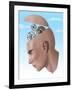 Brain Cogs-Spencer Sutton-Framed Giclee Print