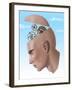 Brain Cogs-Spencer Sutton-Framed Giclee Print