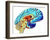 Brain, Computer Artwork-PASIEKA-Framed Photographic Print