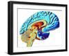 Brain, Computer Artwork-PASIEKA-Framed Photographic Print