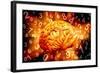 Brain, Conceptual Artwork-Victor De Schwanberg-Framed Premium Photographic Print