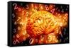 Brain, Conceptual Artwork-Victor De Schwanberg-Framed Stretched Canvas