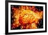 Brain, Conceptual Artwork-Victor De Schwanberg-Framed Photographic Print