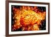 Brain, Conceptual Artwork-Victor De Schwanberg-Framed Photographic Print