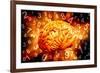 Brain, Conceptual Artwork-Victor De Schwanberg-Framed Photographic Print