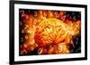 Brain, Conceptual Artwork-Victor De Schwanberg-Framed Photographic Print