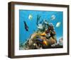 Brain Coral With Tropical Fish-null-Framed Art Print