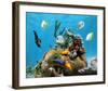 Brain Coral With Tropical Fish-null-Framed Art Print