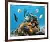 Brain Coral With Tropical Fish-null-Framed Art Print