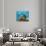 Brain Coral With Tropical Fish-null-Stretched Canvas displayed on a wall