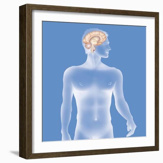 Brain, Drawing-Caroline Arquevaux-Framed Giclee Print