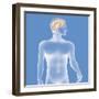 Brain, Drawing-Caroline Arquevaux-Framed Giclee Print