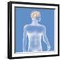 Brain, Drawing-Caroline Arquevaux-Framed Giclee Print