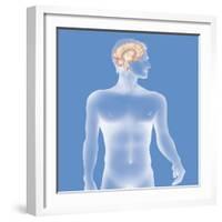 Brain, Drawing-Caroline Arquevaux-Framed Giclee Print