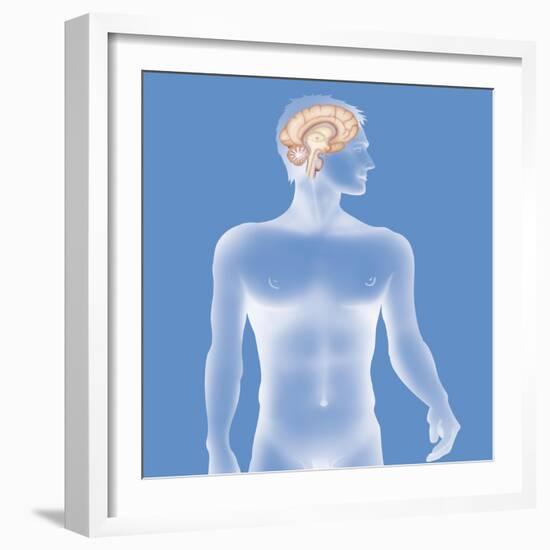 Brain, Drawing-Caroline Arquevaux-Framed Giclee Print