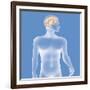 Brain, Drawing-Caroline Arquevaux-Framed Giclee Print