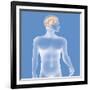 Brain, Drawing-Caroline Arquevaux-Framed Giclee Print