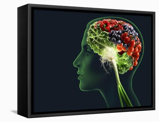 Brain Food, Conceptual Image-SMETEK-Framed Stretched Canvas