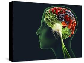 Brain Food, Conceptual Image-SMETEK-Stretched Canvas