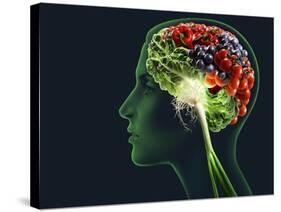 Brain Food, Conceptual Image-SMETEK-Stretched Canvas