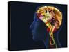 Brain Food, Conceptual Image-SMETEK-Stretched Canvas