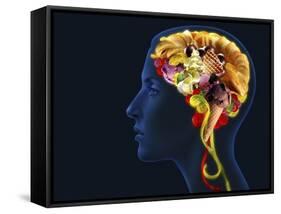 Brain Food, Conceptual Image-SMETEK-Framed Stretched Canvas