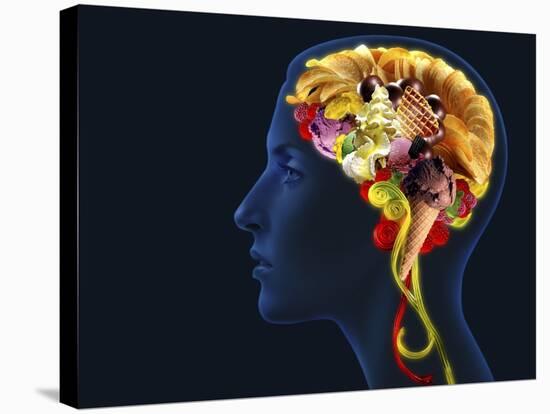 Brain Food, Conceptual Image-SMETEK-Stretched Canvas