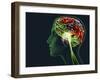 Brain Food, Conceptual Image-SMETEK-Framed Photographic Print