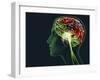 Brain Food, Conceptual Image-SMETEK-Framed Photographic Print