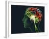 Brain Food, Conceptual Image-SMETEK-Framed Photographic Print