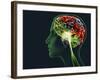 Brain Food, Conceptual Image-SMETEK-Framed Photographic Print