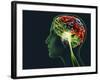 Brain Food, Conceptual Image-SMETEK-Framed Photographic Print