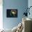 Brain Food, Conceptual Image-SMETEK-Mounted Photographic Print displayed on a wall