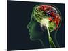 Brain Food, Conceptual Image-SMETEK-Mounted Photographic Print