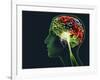 Brain Food, Conceptual Image-SMETEK-Framed Photographic Print