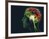 Brain Food, Conceptual Image-SMETEK-Framed Photographic Print